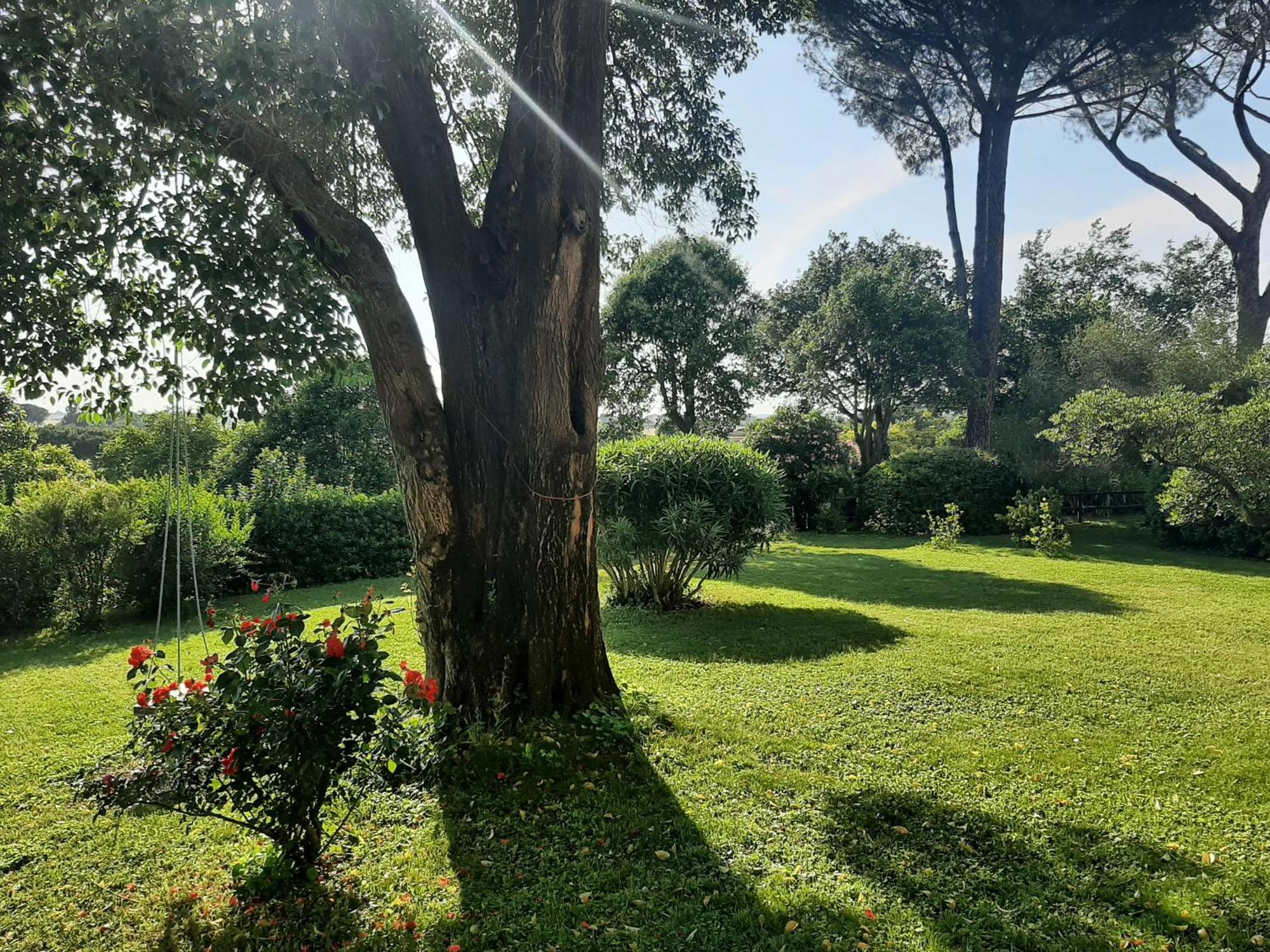 Iv Casale Country *